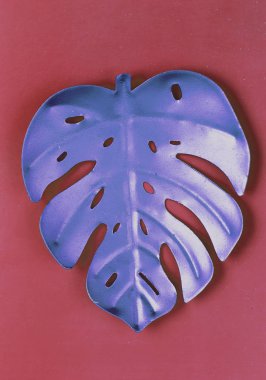Monstera metalik yaprak fotoğrafı.