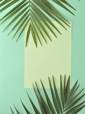 Renkli arka plan üzerinde palmiye ağacı.