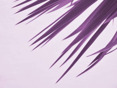 Bitkinin soyut dokusu.