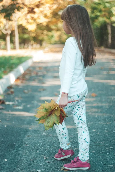 Милая Маленькая Девочка Осенними Листьями Открытом Воздухе — стоковое фото