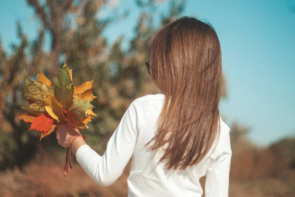 Cute Little Girl Autumn Leaves Outdoors — Stock Photo, Image