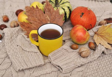 Sonbahar düz arka plan yatıyordu. Kabaklar, elmalar, fındıklar, yapraklar, fincanlar ve kazak ahşap arka planda.