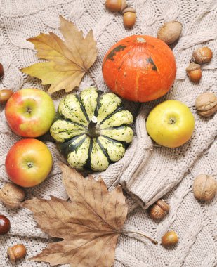 Sonbahar düz arka plan yatıyordu. Kabaklar, elmalar, fındıklar, yapraklar, fincanlar ve kazak ahşap arka planda.