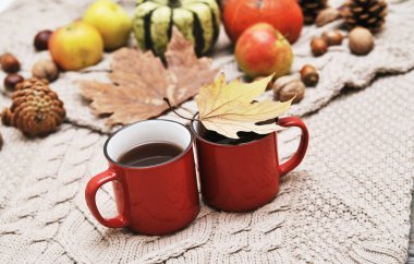 Sonbahar düz arka plan yatıyordu. Kabaklar, elmalar, fındıklar, yapraklar, fincanlar ve kazak ahşap arka planda.