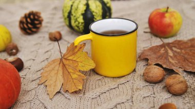 Sonbahar arkaplanı. Kabaklar, elmalar, fındıklar, yapraklar, fincanlar ve kazak ahşap arka planda.