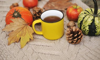 Sonbahar arkaplanı. Kabaklar, elmalar, fındıklar, yapraklar, fincanlar ve kazak ahşap arka planda.