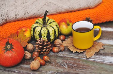 Sonbahar düz arka plan yatıyordu. Kabaklar, elmalar, fındıklar, yapraklar, fincanlar ve kazak ahşap arka planda.