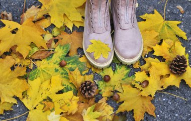Sonbahar arkaplanı. Sonbahar yapraklarındaki ayakkabılar, balkabakları, koniler.