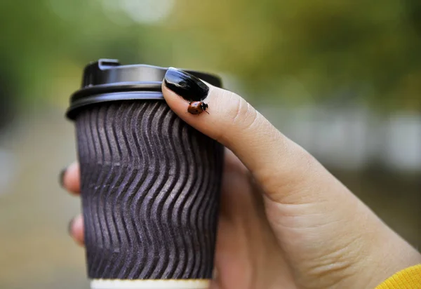 秋天的背景下 女性的手和一杯咖啡 — 图库照片