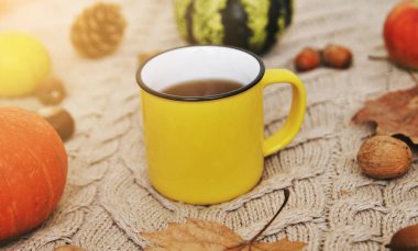 Sonbahar arkaplanı. Kabaklar, elmalar, fındıklar, yapraklar, fincanlar ve kazak ahşap arka planda.