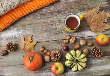 Sonbahar arkaplanı. Kabaklar, elmalar, fındıklar, yapraklar, fincanlar ve kazak ahşap arka planda.