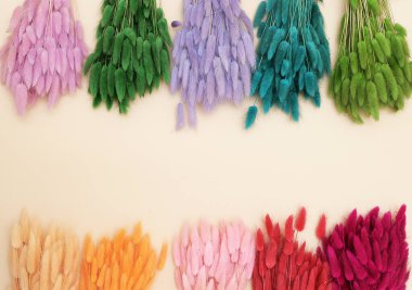 Bej arkaplanda renkli sivri uçlar