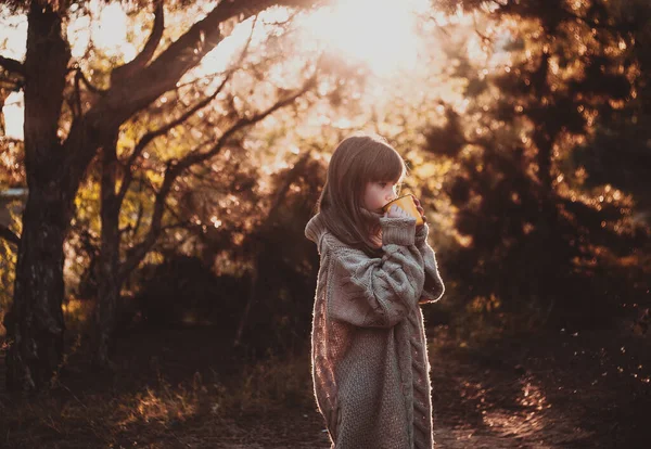 Petite Fille Marchant Dans Forêt Boit Thé Chaud — Photo