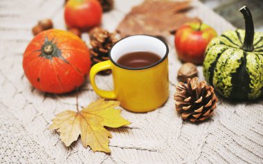 Kabaklar, elmalar, fındıklar, yapraklar, fincanlar ve kazak ahşap arka planda.