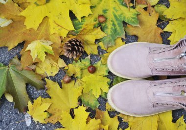 Sonbahar arkaplanı. Sonbahar yapraklarındaki ayakkabılar, balkabakları, koniler.
