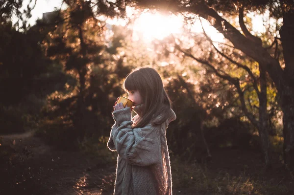 Kleines Mädchen Spaziert Durch Den Wald Und Trinkt Heißen Tee — Stockfoto