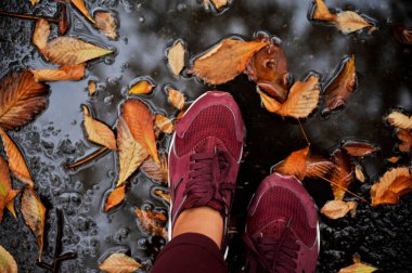 Sonbahar göletinde yapraklı ayakkabılar.