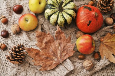 Kabaklar, elmalar, fındıklar, yapraklar, fincanlar ve kazak ahşap arka planda.