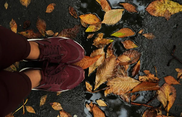 Sonbahar göletinde yapraklı ayakkabılar.