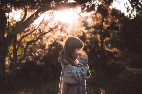 Süveter giyen şirin küçük kız ormanda sıcak çay içiyor..