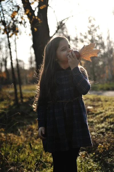 小女孩在秋天的公园玩得很开心 — 图库照片