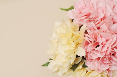 bej renkli tek renkli arkaplanda suni çiçek dalları