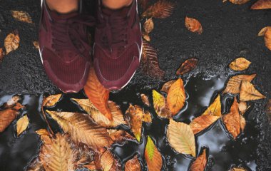 Sonbahar yaprakları su birikintisinde