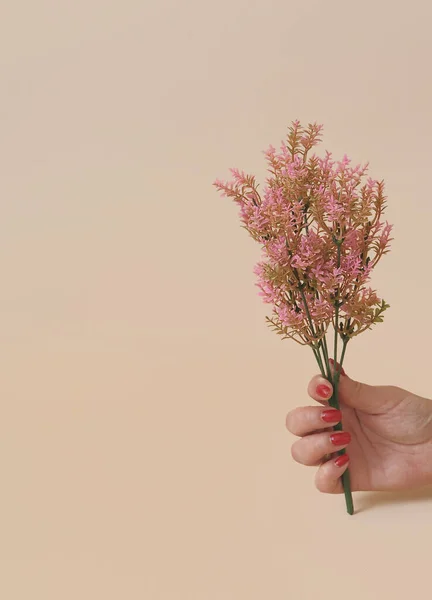 artificial branches of flowers on beige monochromatic background