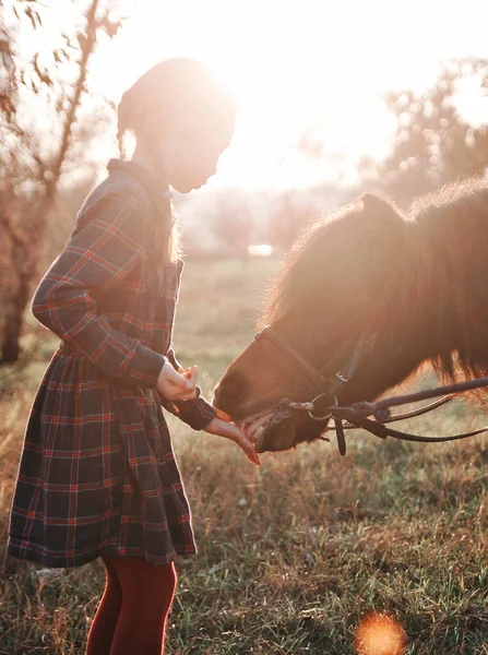 Bambina Gioca Con Cavallo Nella Foresta — Foto Stock