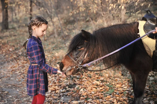 Little Girl Plays Horse Forest — Stock Photo, Image