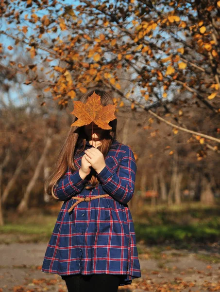 Little Girl Has Fun Autumn Park — Stock Photo, Image