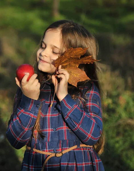 Liten Flicka Har Kul Höstparken — Stockfoto