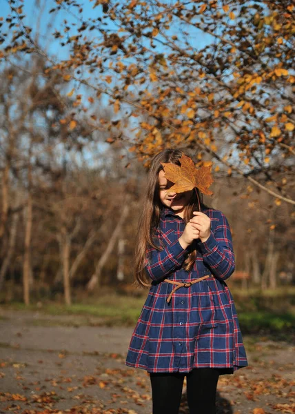 Маленькая Девочка Веселится Осеннем Парке — стоковое фото