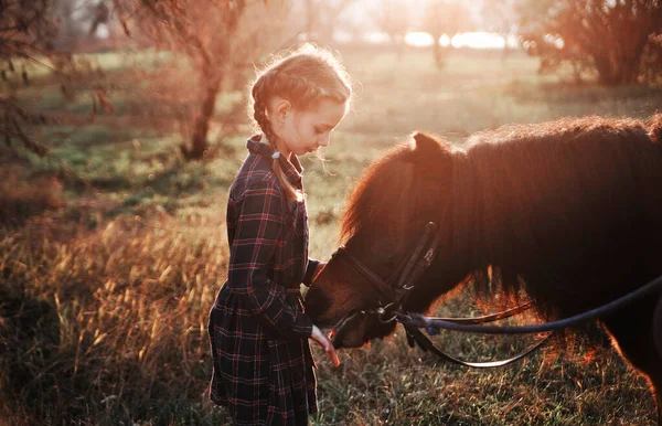 Petite Fille Joue Avec Cheval Dans Forêt — Photo