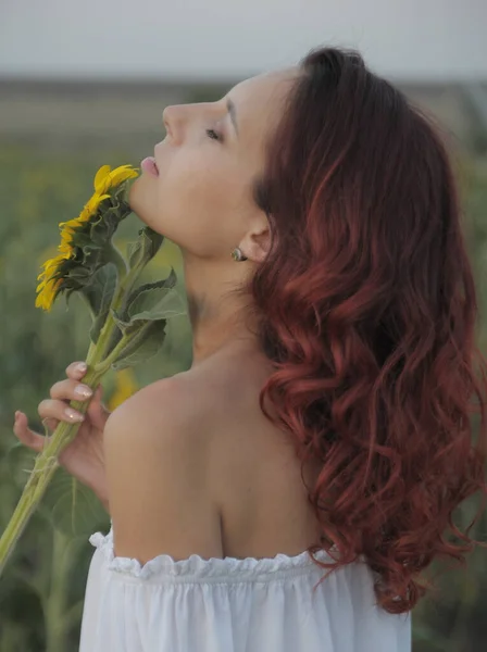 Beautiful Woman Meadow Sunflowers — Stock Photo, Image