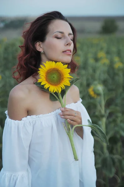 Beautiful Woman Meadow Sunflowers — Stock Photo, Image