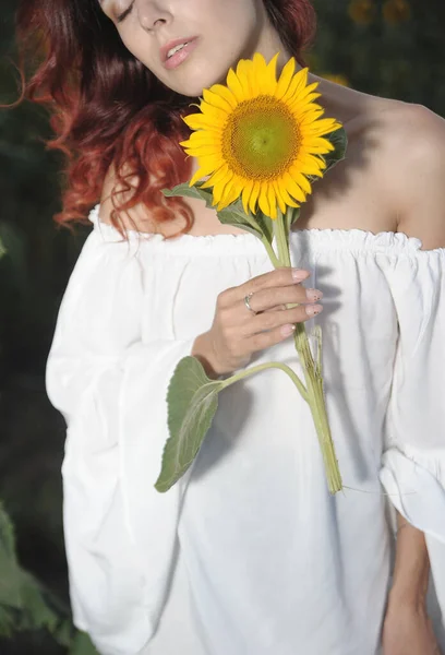 Beautiful Woman Meadow Sunflowers — Stock Photo, Image