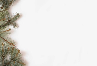 Köknar dallı Noel arkaplanı