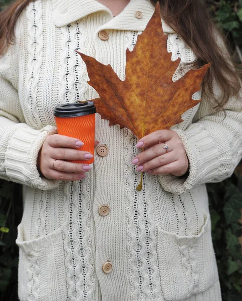 秋天的背景和一杯咖啡一起喝 — 图库照片