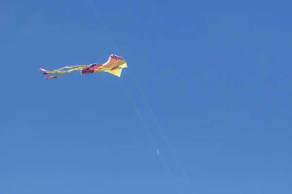 Kite gekleurde vogel in de heldere blauwe hemel — Stockfoto