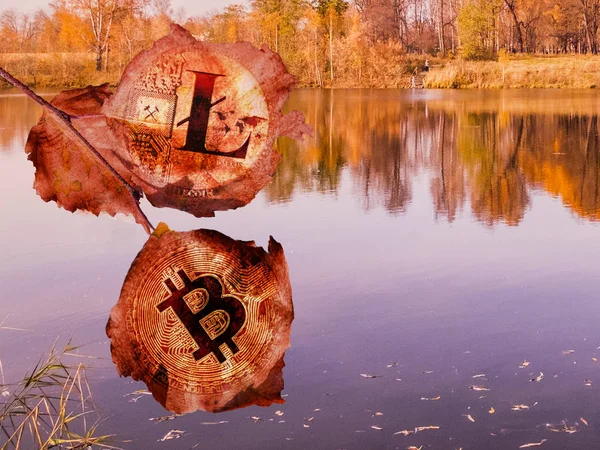 Bitcoin и litecoin монеты в виде красных листьев на фоне осенних деревьев и озера. Цифровая осень . — стоковое фото