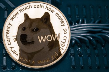 Sikke cryptocurrency doge arka planda tel ve devreleri.