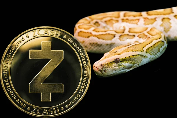 Guld Python och mynt kryptovaluta Zcash Zec — Stockfoto