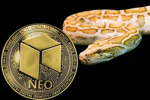 Guld Python och mynt kryptovaluta Neo. — Stockfoto