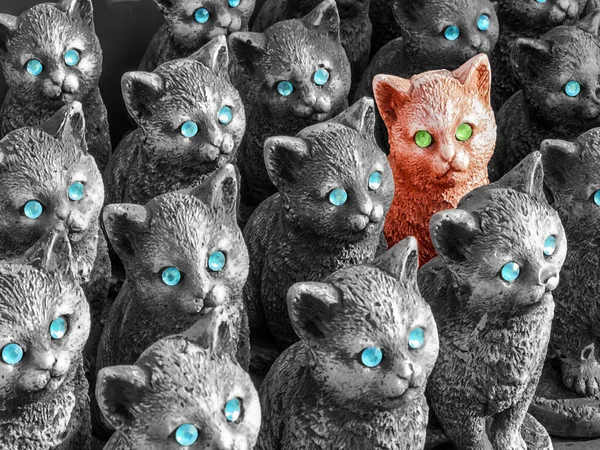 Kavram şekil kedi grubunda diğerlerinden farklı yeşil gözlü