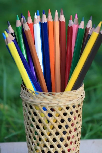 Bilgi çimenlerin üzerinde bir sepet ile renkli kalemler.