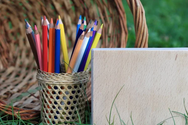 Bilgi çimenlerin üzerinde bir sepet ile renkli kalemler.