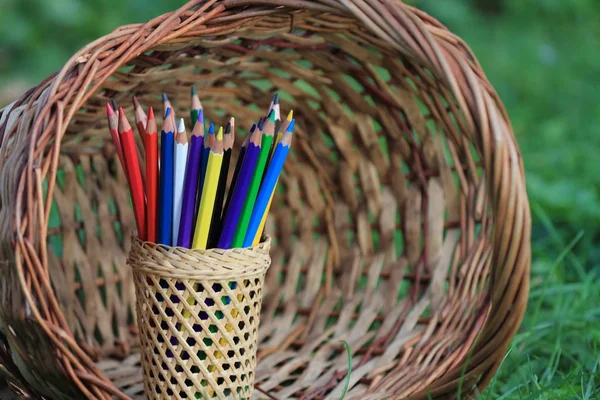 Bilgi çimenlerin üzerinde bir sepet ile renkli kalemler.