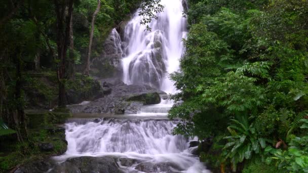 Waterfalls Rainy Season Forest Rainy — Stock Video