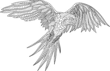 Güzel kitap sayfa beyaz arka plan üzerinde papağan ile boyama